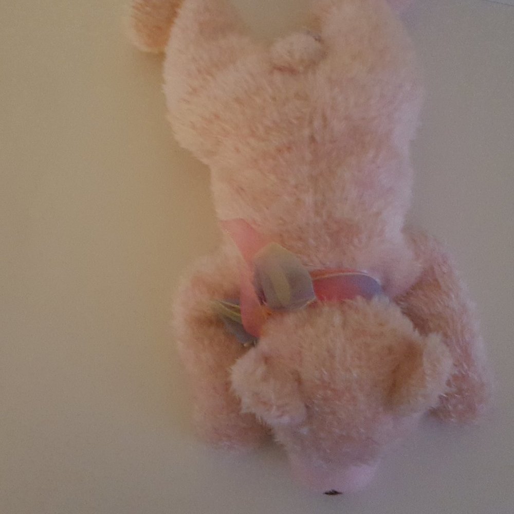 Ty Classic Sugarplum Pink Bear 2000 - Picture 3 of 11